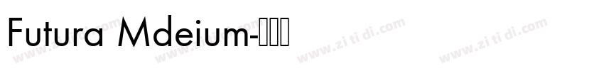 Futura Mdeium字体转换